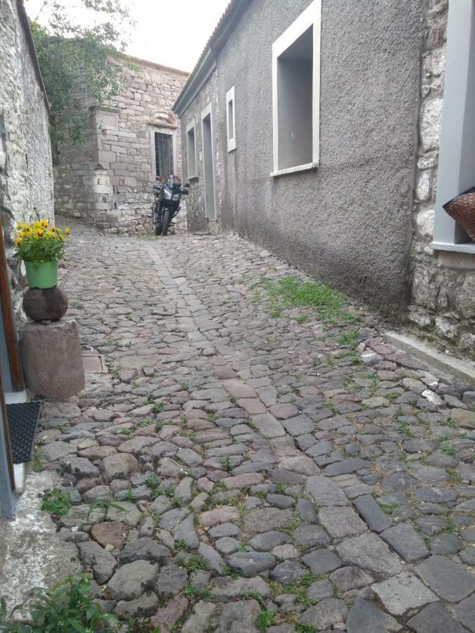 Dameli Daire Sykaminéa Dış mekan fotoğraf